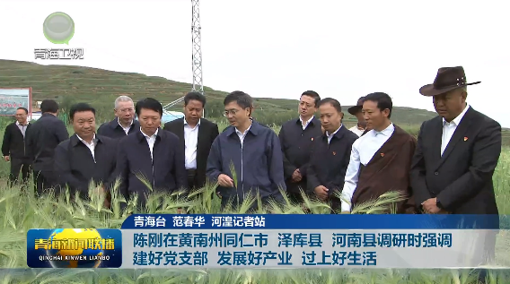 陳剛在黃南州同仁市、澤庫縣、河南縣調研時強調建好黨支部 發展好產業 過上好生活