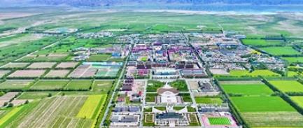 駝奶里的“大產業”