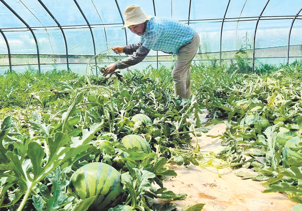 【鞏固拓展脫貧攻堅成果同鄉村振興有效銜接·整改進行時】錨定重點 靶向發力 助推鄉村振興提速增效