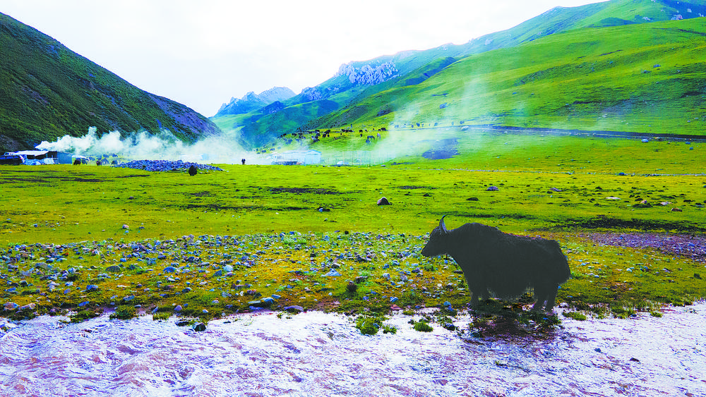 解碼三江源頭的“詩與遠方”——“文旅融合看青海”蹲點調研之一