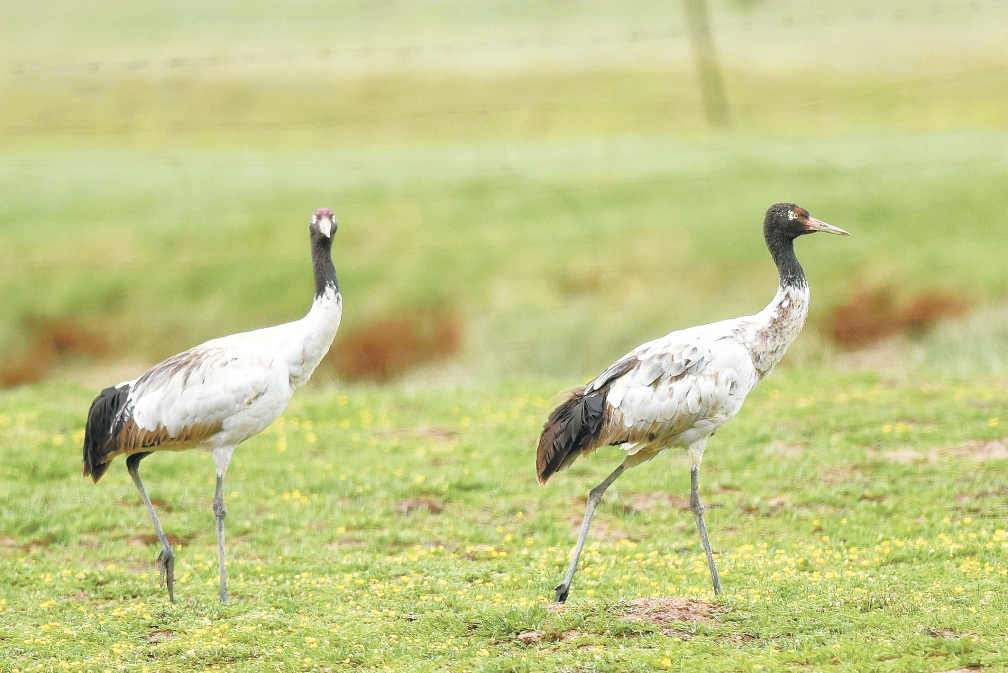 隆寶灘:亮麗的“國際生態(tài)名片”