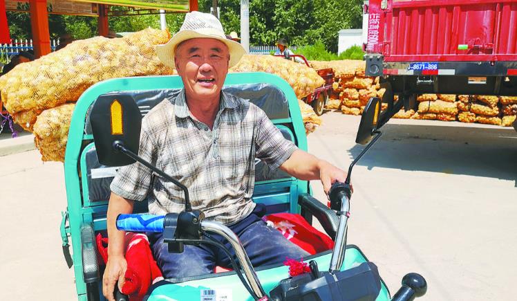 海東樂都擴繁紫皮大蒜良種全面推動鄉村振興