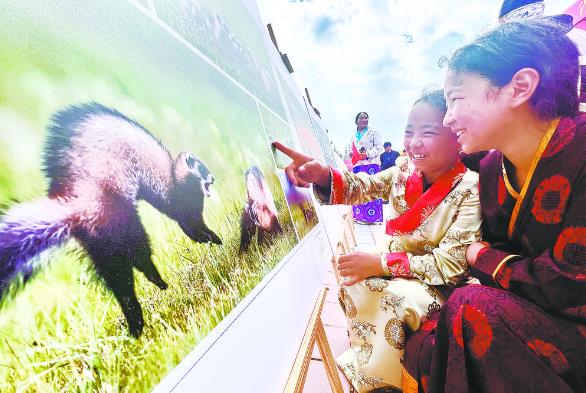 黨的聲音進萬家 惠民政策進基層