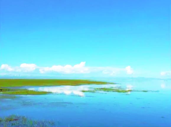 青海湖國家公園——“吾家有女初長成”