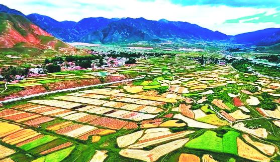 “豐”景美如畫