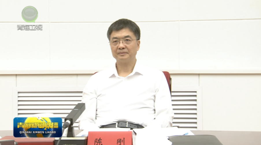 陳剛以普通黨員身份參加所在黨支部主題教育專題組織生活會