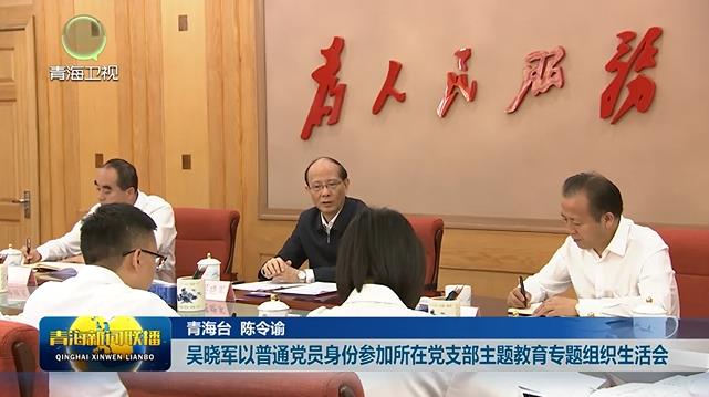 吳曉軍以普通黨員身份參加所在黨支部主題教育專題組織生活會