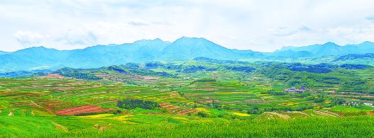 【鄉(xiāng)村振興在青海】走進壯觀梯田 領(lǐng)略振興圖景