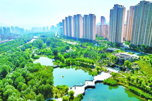 【視覺】守護綠色生態(tài) 共享“濕”情畫意