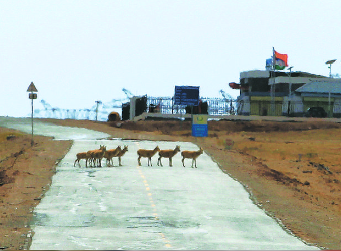 【三江源小百科】五道梁保護站