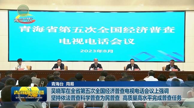 吳曉軍在全省第五次全國經濟普查電視電話會議上強調 堅持依法普查科學普查為民普查 高質量高水平完成普查任務