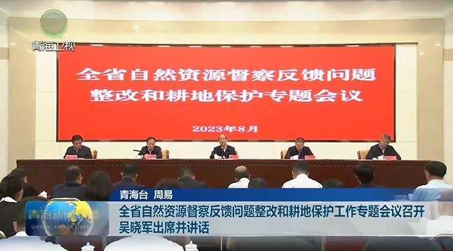 全省自然資源督察反饋問題整改和耕地保護工作專題會議召開 吳曉軍出席并講話
