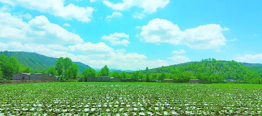 “破繭成蝶”的東溝樣板——互助縣東溝鄉(xiāng)爾開村見聞