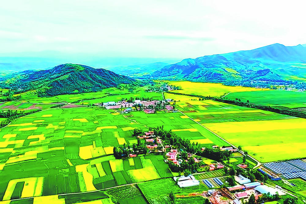 【中國共產黨的故事——習近平新時代中國特色社會主義思想在青海的實踐】鄉村振興“春色滿園”