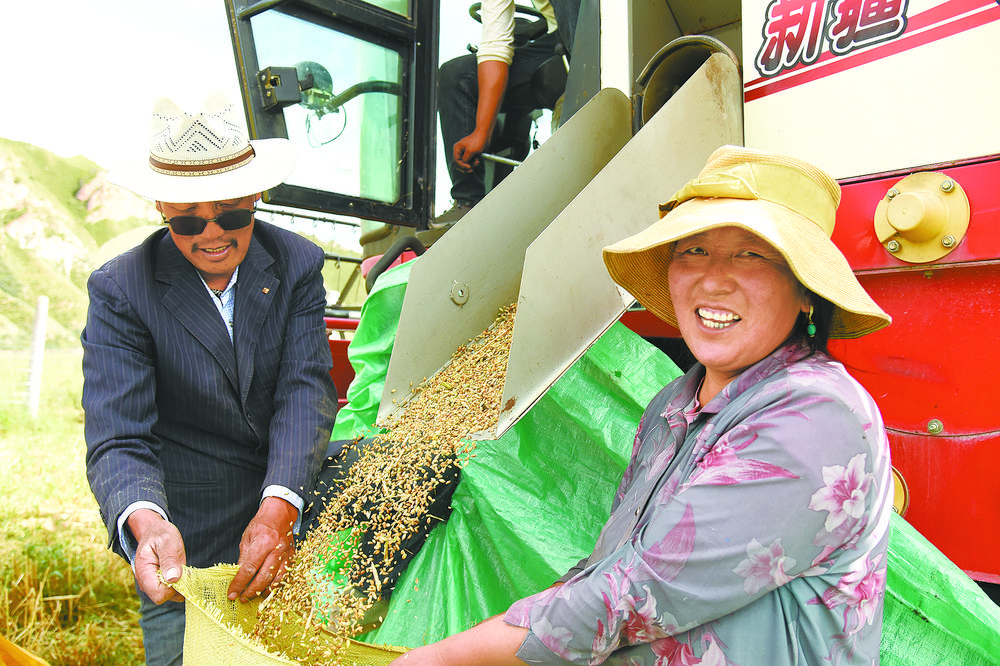 玉樹州囊謙縣:秋收喜悅入畫來