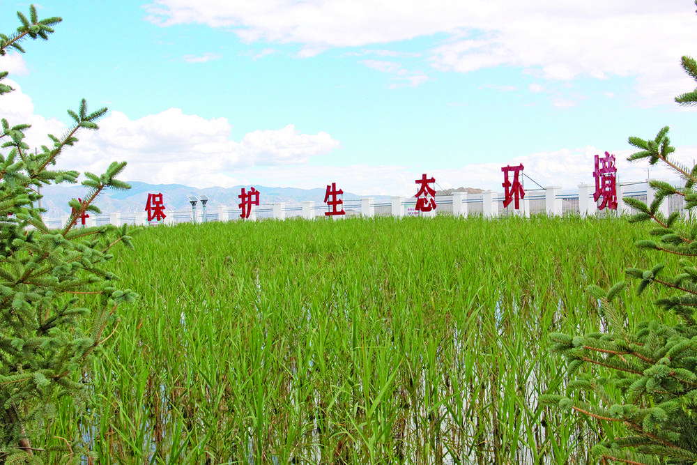 我省最高海拔微生物污水凈化工程落戶興海 高原小城,聽取蛙聲一片