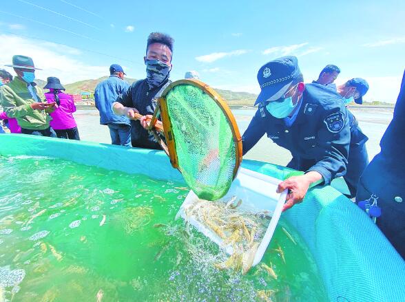 守護“鯉”躍龍門 書寫共生之美