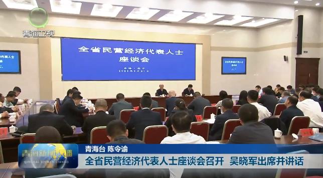 全省民營經濟代表人士座談會召開 吳曉軍出席并講話