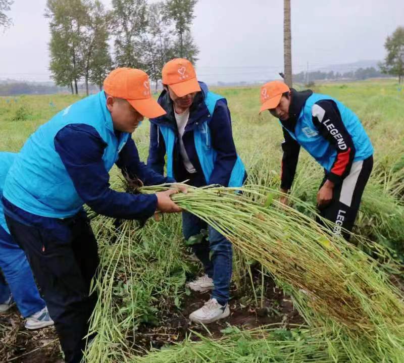 助農秋收 彰顯企業擔當