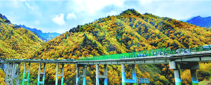 �ຣ̎̎�ﾰ�箋