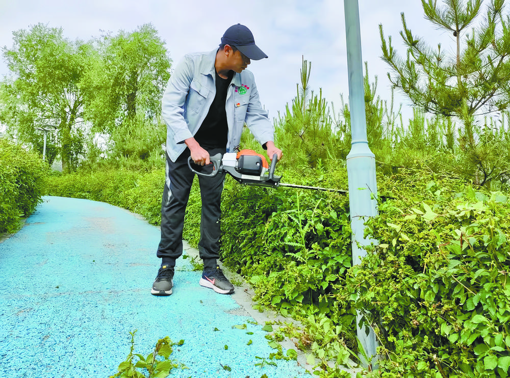 默守初心,只為心中一抹綠——記全國綠化勞動模范謝順邦