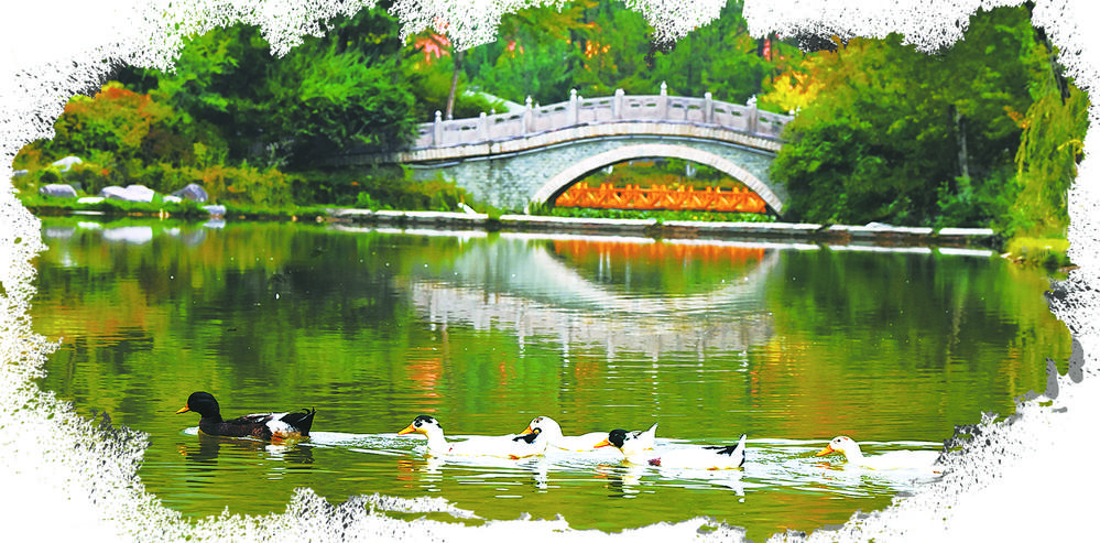 城市公園,最美秋景等你來