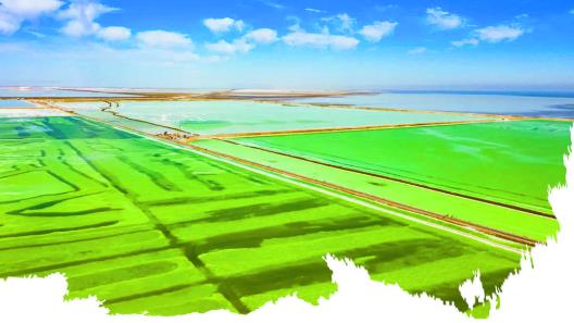 格爾木:聚力轉型 “碳”尋綠色發展