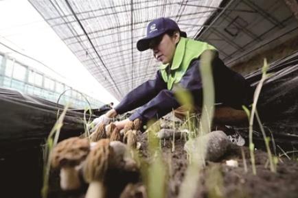 全國示范!西寧市一家巾幗示范基地上榜