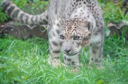 這些“朋友”需要我們用心呵護