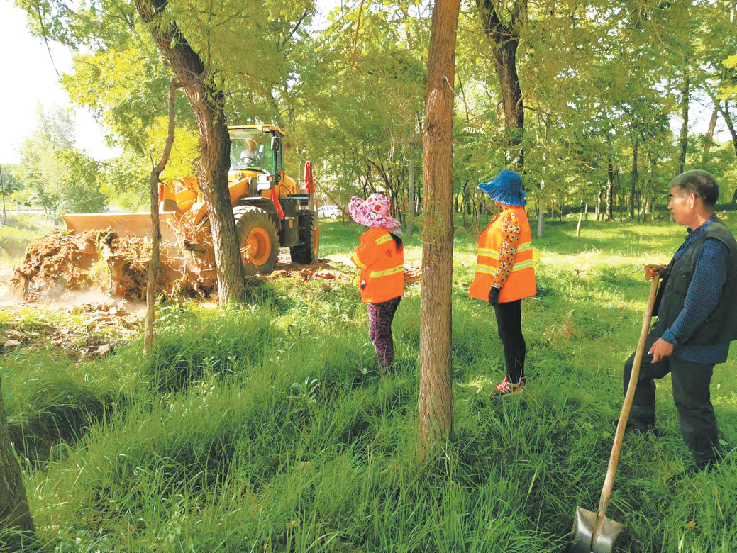 【黨旗領航】黨建引領織就基層治理“錦繡畫卷”