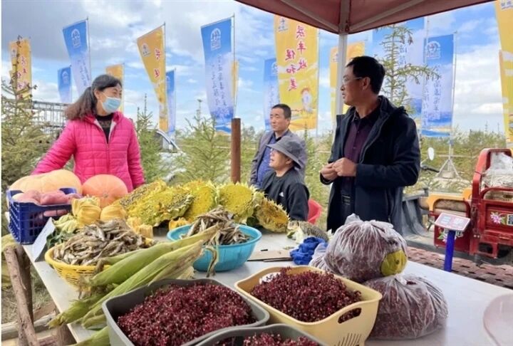 青海省共和縣特色農畜產品為鄉村振興“強筋壯骨”