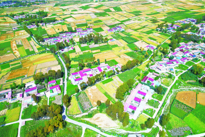 “石窩”與“龍城非匠”的擁抱——“鄉(xiāng)村行 看振興”系列報道