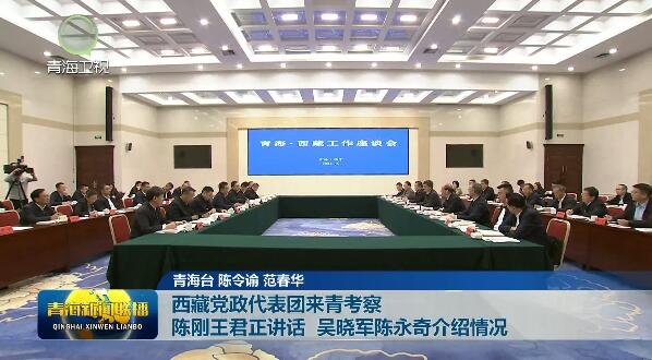 西藏黨政代表團來青考察 陳剛王君正講話 吳曉軍陳永奇介紹情況