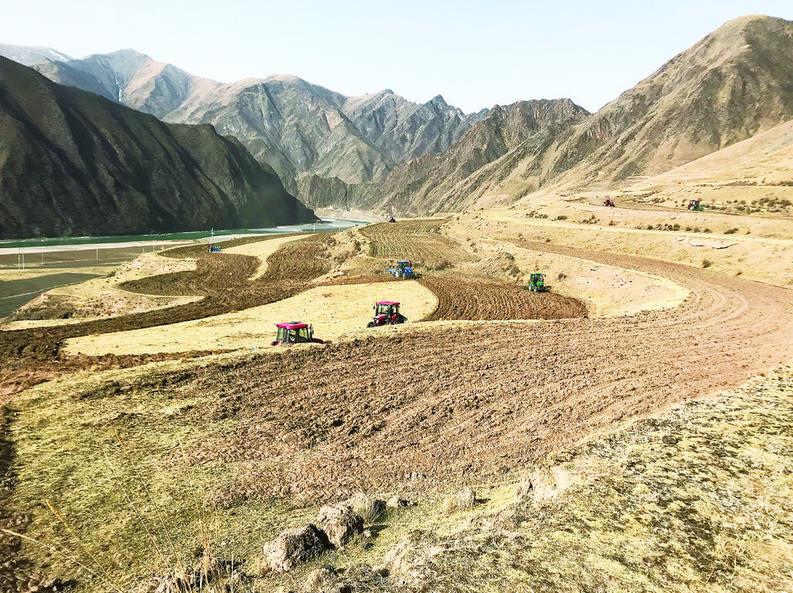 【鄉(xiāng)村振興在青海】寫好土地“大文章” 強村富民結(jié)碩果——“鄉(xiāng)村行 看振興”系列報道(30)