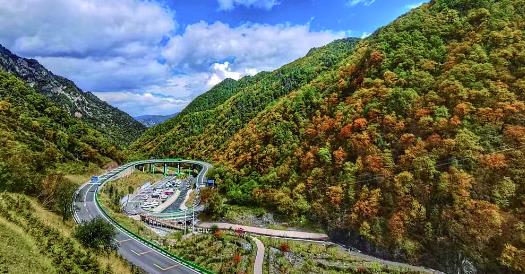 全國最美公路秋景征服游客