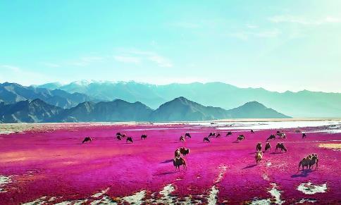 【新時代 新征程 新偉業(yè)】沙窩窩里走出一個“生態(tài)綠洲”——烏蘭縣打造第七批國家生態(tài)文明建設示范區(qū)紀實