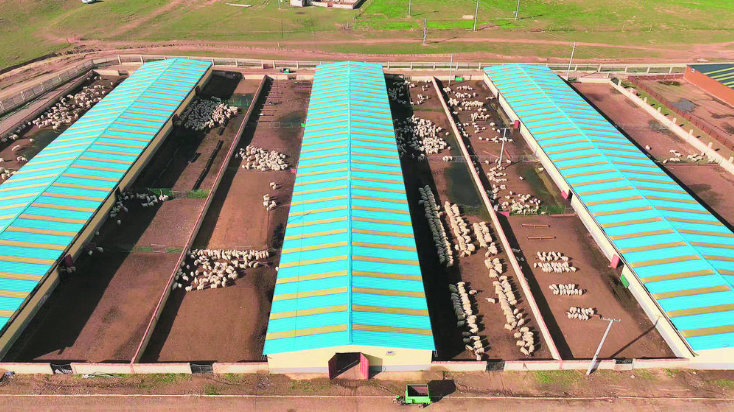 【鄉村振興在青海】養殖變方法 牧民換“活法”——“鄉村行 看振興”系列報道(41)