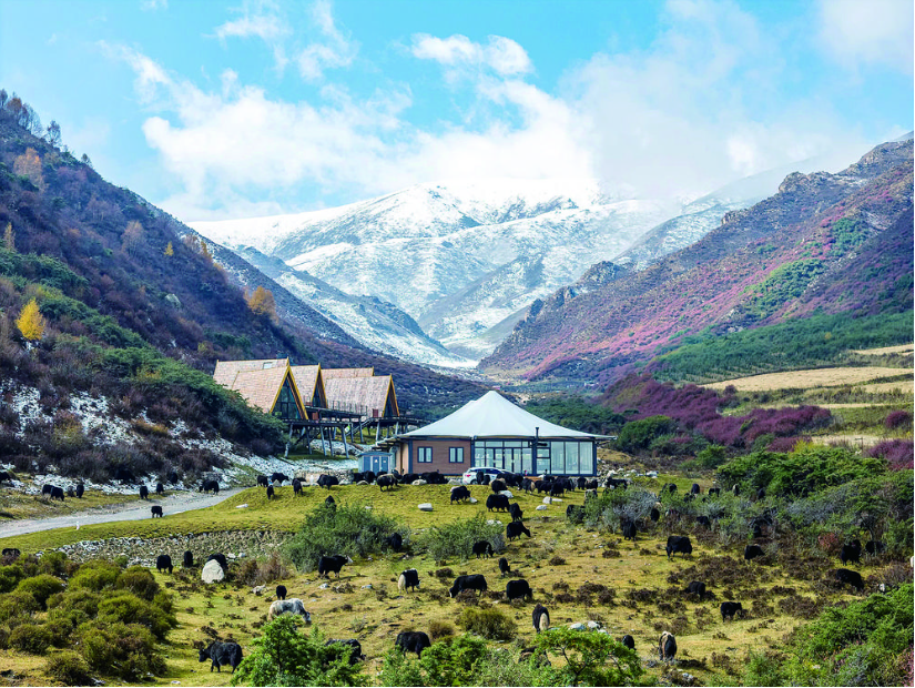 【新時代 新征程 新偉業·高質量發展調研行】讓顏值變價值 以人氣聚財氣——鄉村旅游樣本觀察