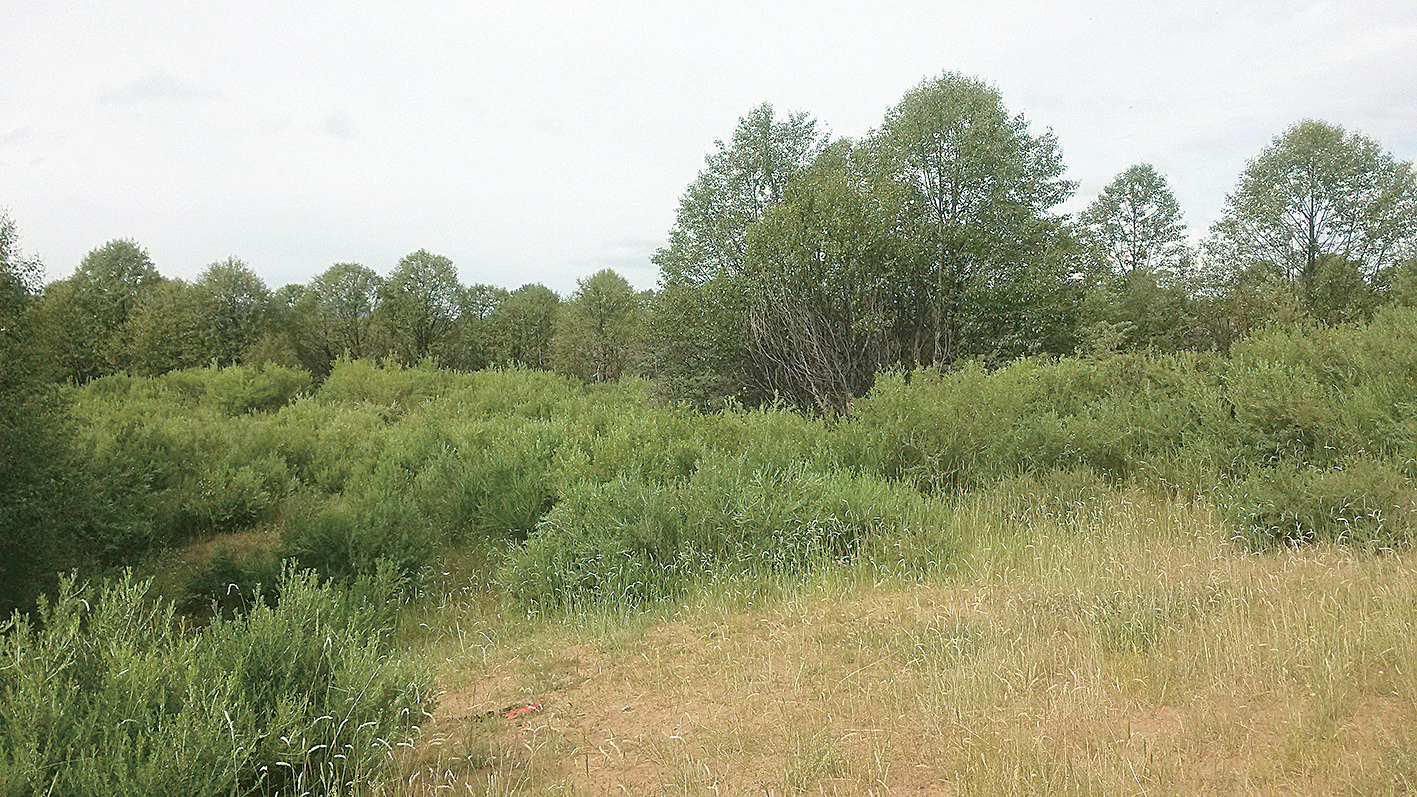 【新時代 新征程 新偉業】風庫沙珠玉 沙丘變綠洲