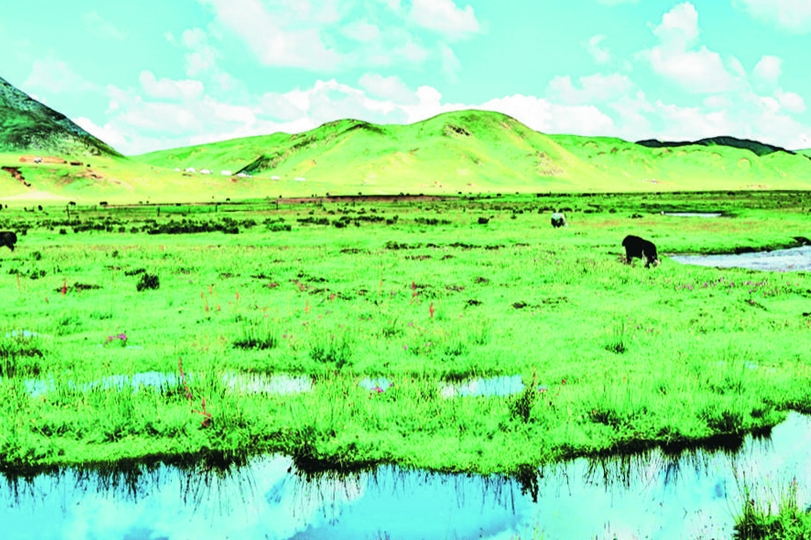 【新時代 新征程 新偉業】黃河臂彎里的“凈秀”之地——同德縣創建全國“綠水青山就是金山銀山”實踐創新基地紀實