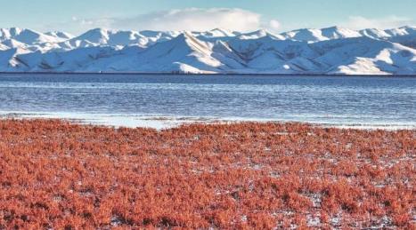4條精品旅游路線展示冰雪果洛