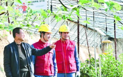 電力服務(wù)進(jìn)大棚 守護(hù)市民“菜籃子”