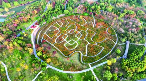 【新時代 新征程 新偉業·高質量發展調研行】以綠色發展含綠量換經濟發展含金量——山畔嬉江水 江上攬五山