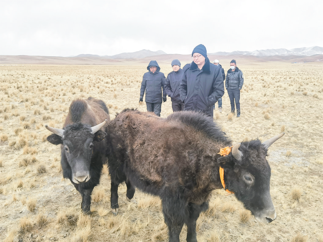聚焦檢察職能 守護(hù)綠水青山