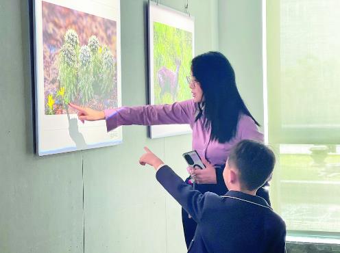 透過光影與自然“隔空”對話