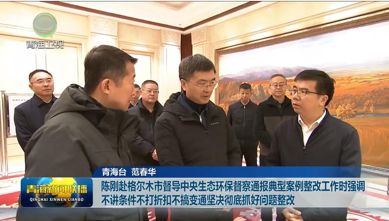 陳剛赴格爾木市督導中央生態環保督察通報典型案例整改工作時強調 不講條件不打折扣不搞變通堅決徹底抓好問題整改