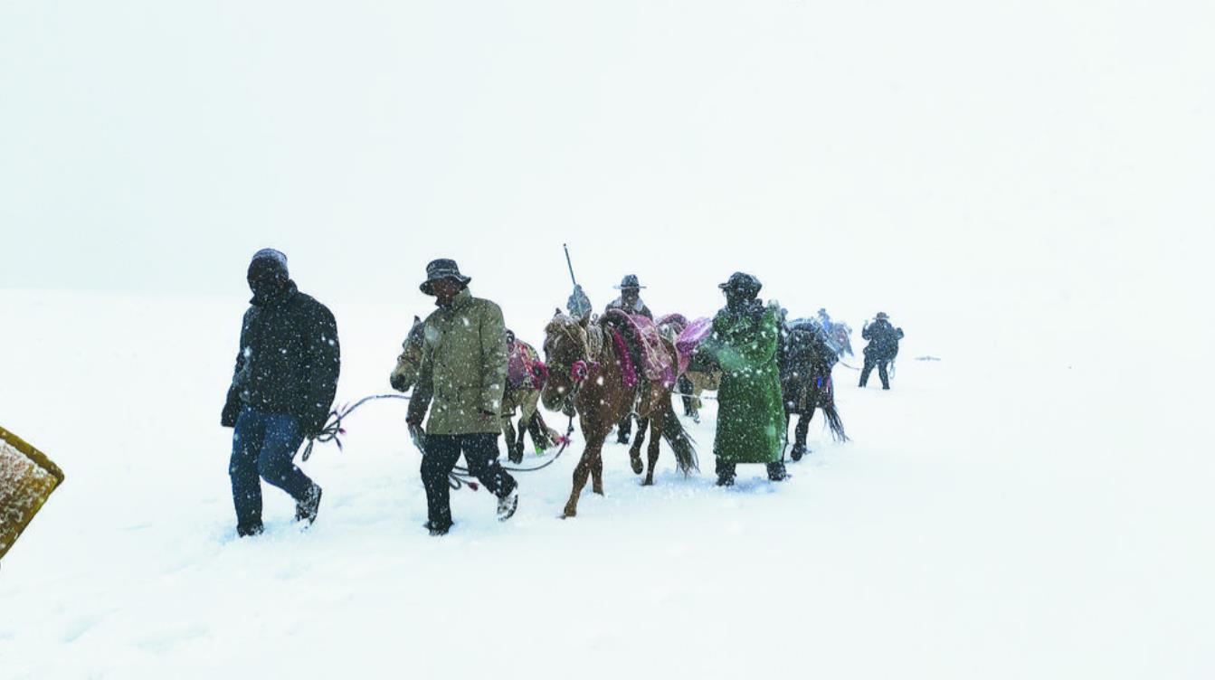 齊心協力,當好長江源頭守護人——記治多縣多彩鄉達生村索布查葉水源保護青年志愿者服務隊隊長巴洪加羅