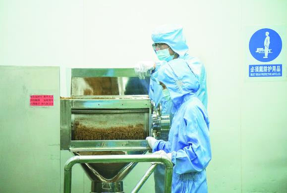 將青海藏醫(yī)藥推介給世界