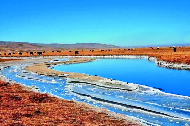 52項活動催熱黃南冬春季旅游