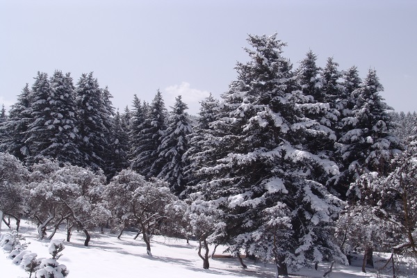 1703059699323397.jpg 1.鷂子溝冬日美景.JPG